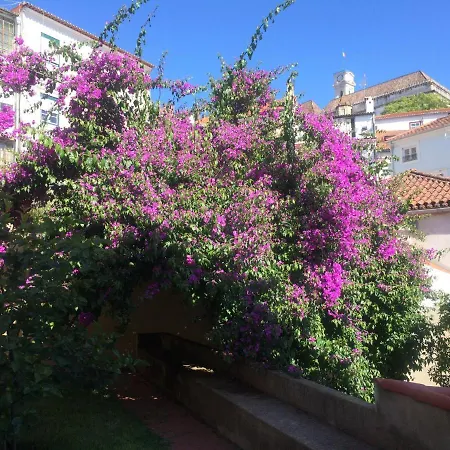Sobre Ribas 2|12 Appartement